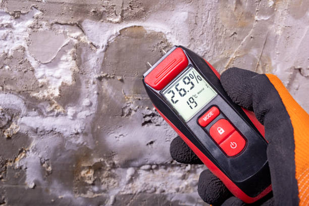 Best Attic Mold Remediation in Mount Vernon, IA