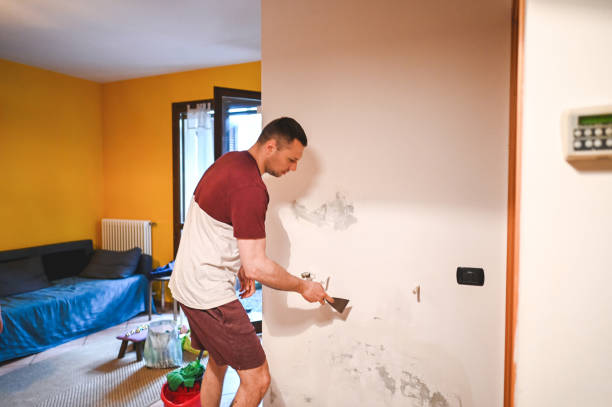 Best Health and Safety Mold Remediation in Mount Vernon, IA